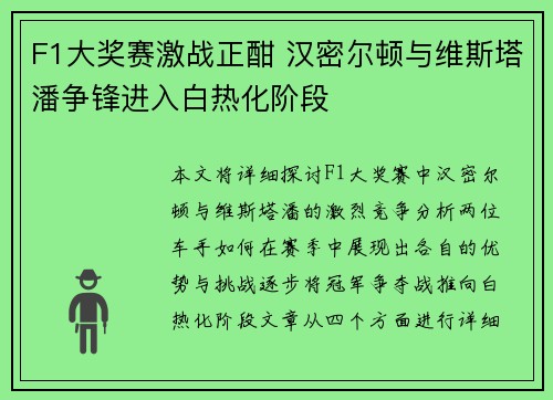 F1大奖赛激战正酣 汉密尔顿与维斯塔潘争锋进入白热化阶段
